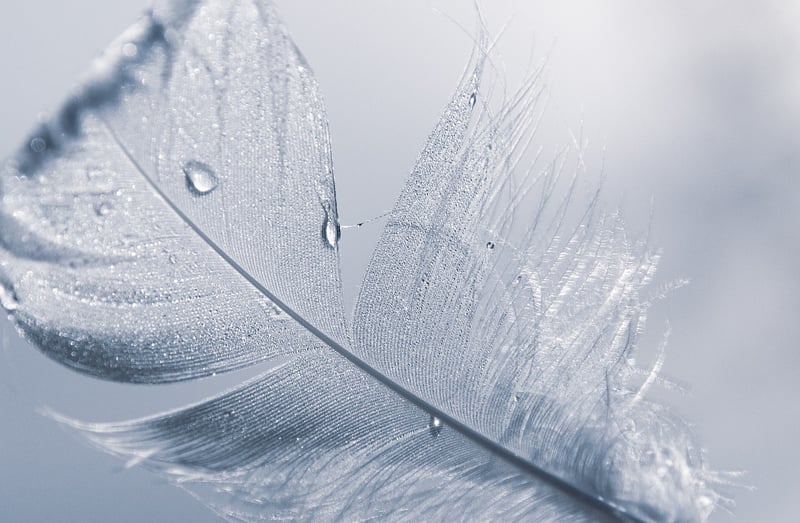 Elegant Details